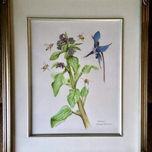 Janis_Howes_BorageAndBees